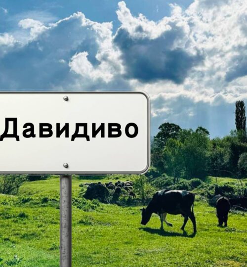 Земеделска земя, с. Давидово, Търговище област, 4000 кв.м